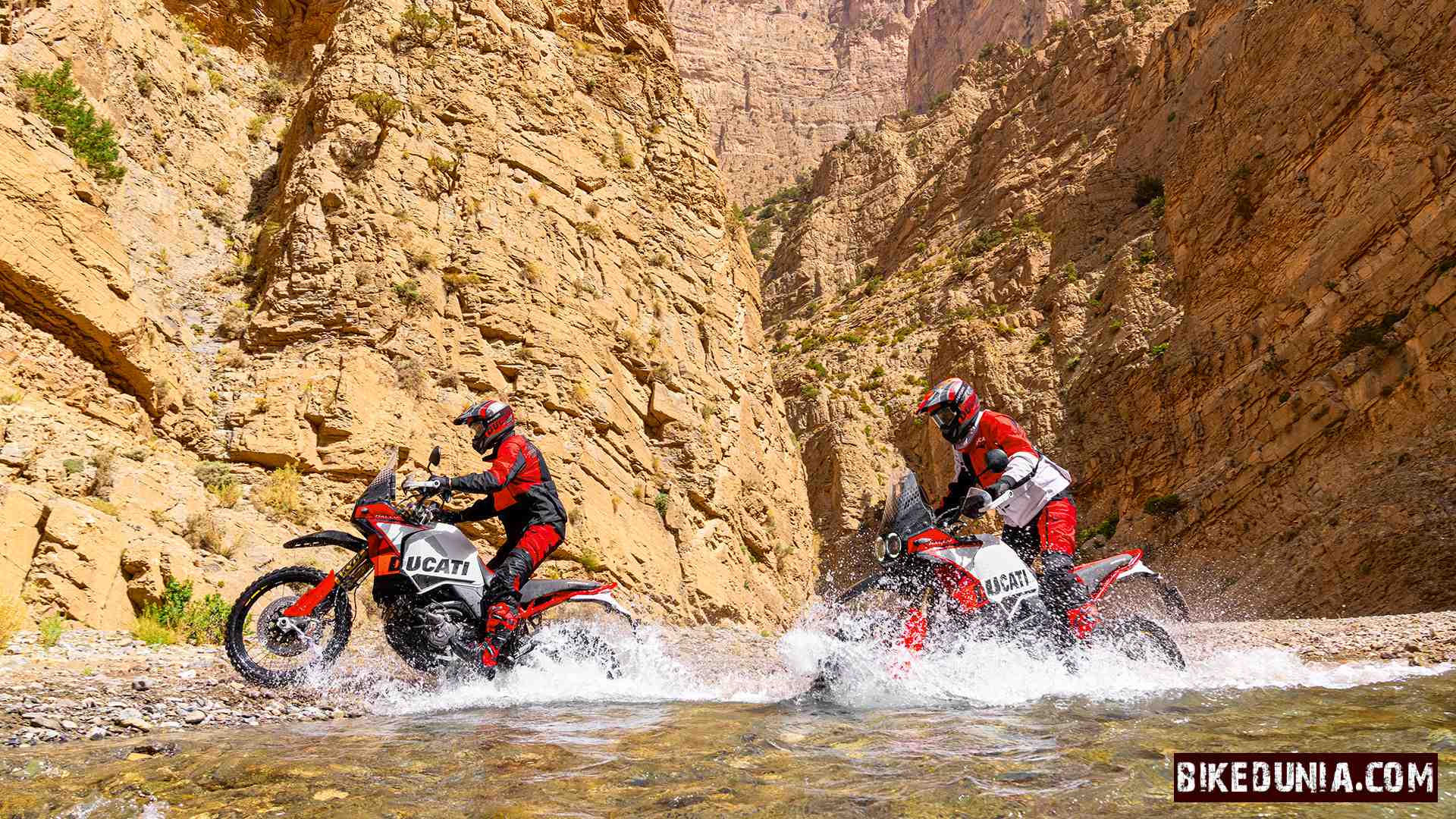 Ducati DesertX Rally