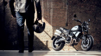 Ducati Scrambler 1100 Dark Pro