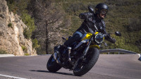 Ducati Scrambler Icon