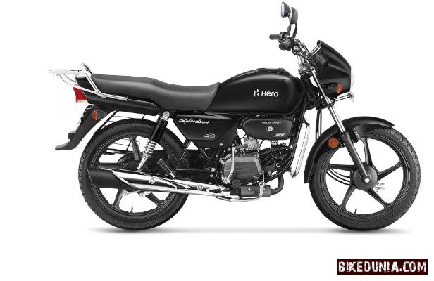 Hero Splendor Plus - Black & Accent