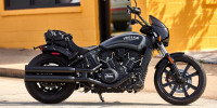 Indian Scout Rogue