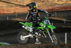 Kawasaki KX65 2024