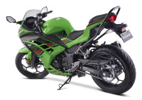 Kawasaki Ninja 300