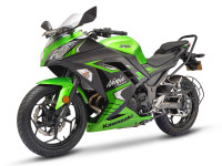 Kawasaki Ninja 300