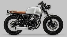 Mutt Akita 125