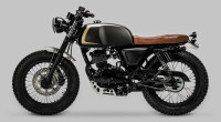 Mutt Akita 125