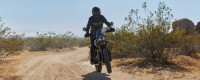 Triumph Scrambler 400 X